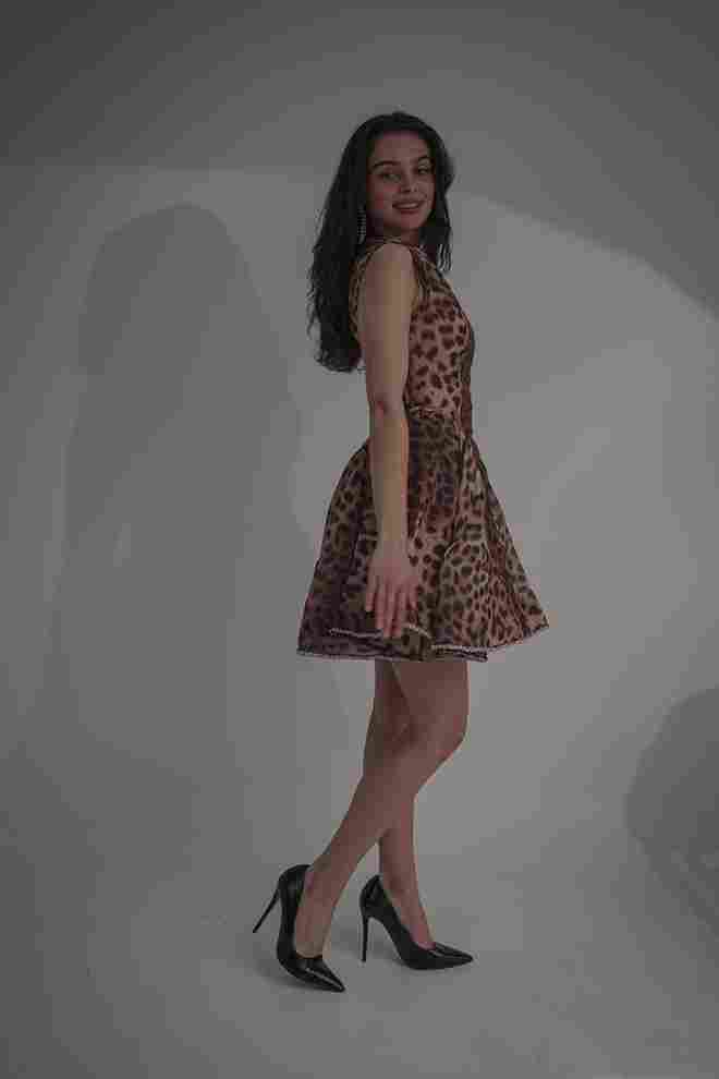 Tiger dress