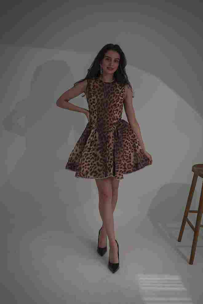 Tiger dress